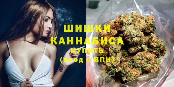 мдпв Дмитров