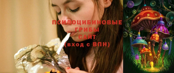 мдпв Дмитров