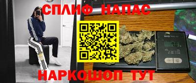 мдпв Гусь-Хрустальный