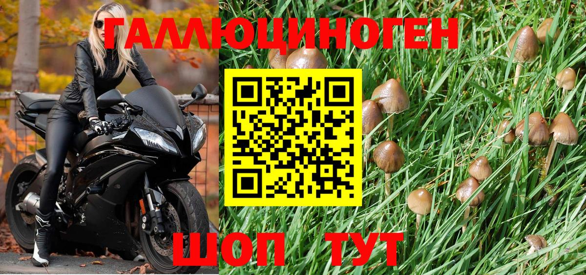 Псилоцибиновые грибы Psilocybe Донецк